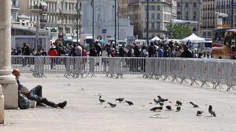 shutterstock_1528142477