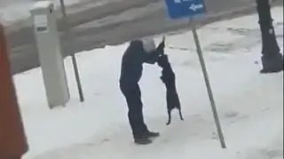 Do zdarzenia doszło w Elblągu