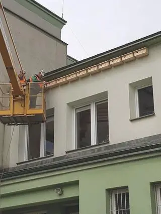 Starachowice montują budki dla jerzyków