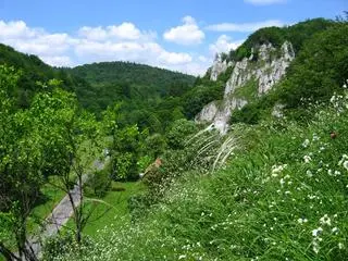 Ojcowski Park Narodowy