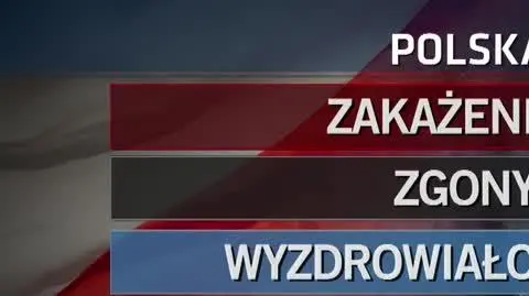 przypadki