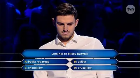 Pytanie w "Milionerach" o bliskich kuzynów lemingów