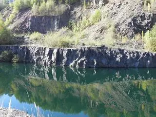 Miejsce jest ostoją m.in. dla ptaków wodnych