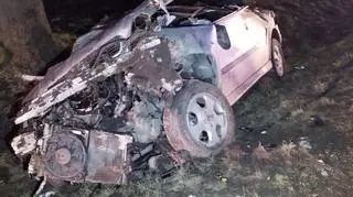 19-latek zakończył jazdę na drzewie