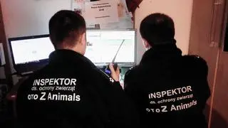 Inspektorzy OTOZ Animals będą dyżurować w sylwestrową noc 