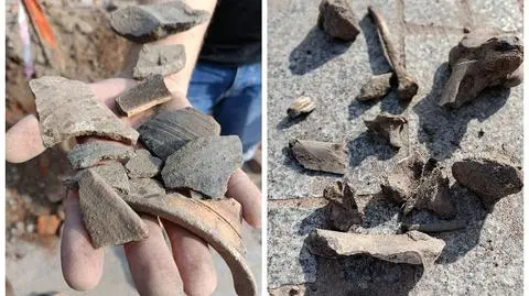 Toruń. Kości i fragmenty średniowiecznej ceramiki na budowie linii tramwajowej