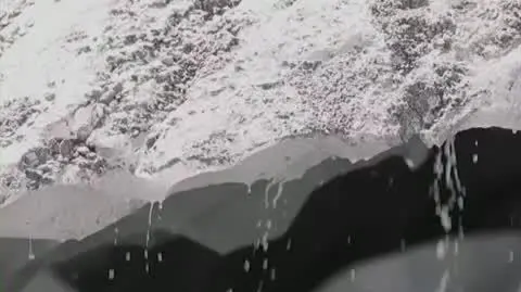 0112B011X NACZYT WIRUSY