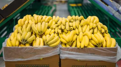 Kokaina w skrzynkach bananów w niemieckim dyskoncie