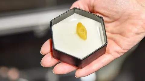 Paciorek ma 9000 lat