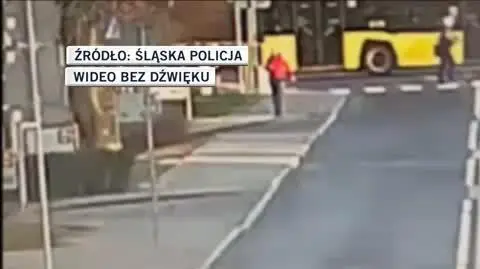śląska policja