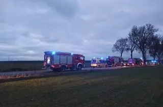 Kobieta i miesięczne dziecko zginęli w wypadku pod Piotrkowem Trybunalskim