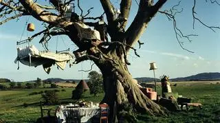 W ogrodzie Eglingham Hall, Wielka Brytania, 2002