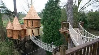 Treehouse - luksusowe domki na drzewie