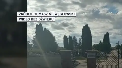 Tomasz Niewęgłowski