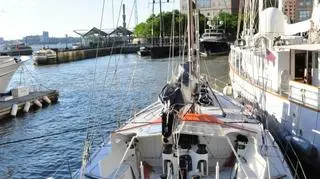 Safran w marinie przy Ground Zero