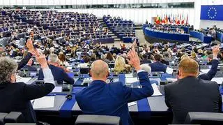 "Polska pisze czarną kartę dziejów Parlamentu Europejskiego"