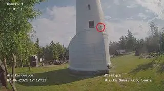 Pies spadł z wieży widokowej w Sudetach