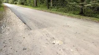 Asfalt na ulicy Grotnickiej kończy się w środku lasu