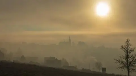 Lekarka: jeśli smog nie zniknie, przyszłe pokolenia nie będą żyły długo i szczęśliwie