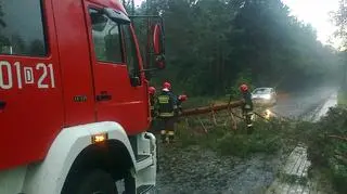 Strażacy pracują w powiecie bolesławickim