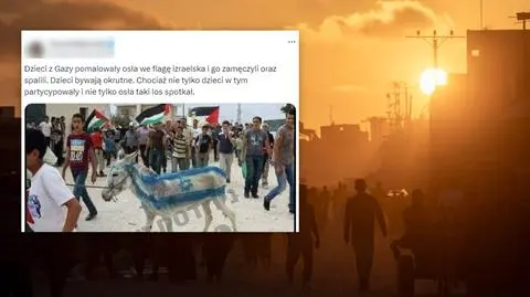 Osioł z namalowaną flagą Izraela zamęczony przez "dzieci z Gazy"? To nieprawda 