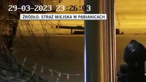 Straż Miejska w Pabianicach
