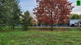 Zjechał z drogi, uderzył w latarnię i ogrodzenie. Policja: miał 1,5 promila