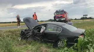 Do zdarzenia doszło na odcinku Płońsk - Wyszogród 