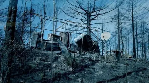 Jak można zarobić na katastrofie, która teoretycznie przynosi jedynie straty?