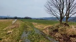 Działka, na której miałaby powstać farma fotowoltaiczna