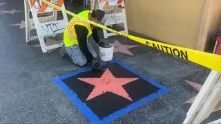 Chcieli złożyć hołd Dolly Parton. Fani piosenkarki w szoku