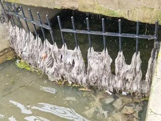 Zrzut ścieków pod Wawelem