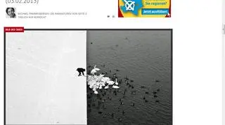 Zdjęcie Marcina Ryczka: A Man Feeding Swans in the Snow/ Winter in Krakow