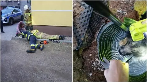 Owczarek wpadł do głębokiej, wąskiej studzienki. Z pomocą ruszyli strażacy