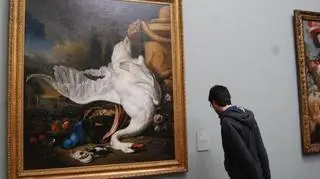 Konstmuseum w Rottrerdamie