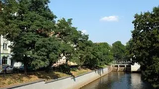 Ulica Kazimierzowska (dawna ul