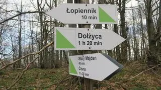 W Bieszczadach powstała nowa ścieżka na Łopiennik