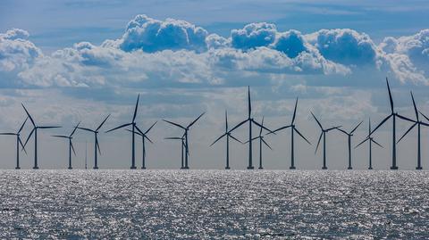 energia prad odnawialna wiatraki wiatrowa elektrownia wiatr shutterstock_1175414737