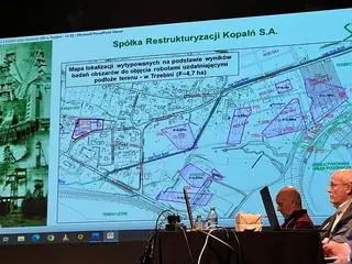Obszary przeznaczone do uzdatnienia w Trzebini