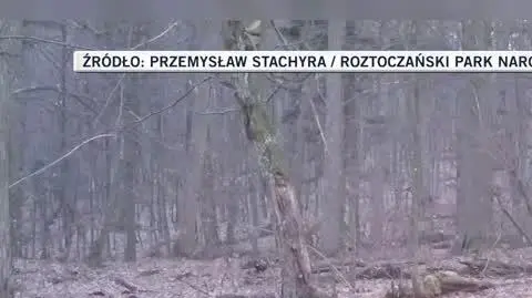 Roztoczański Park Narodowy