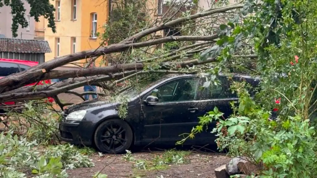 Drzewo zmiażdżyło część samochodu