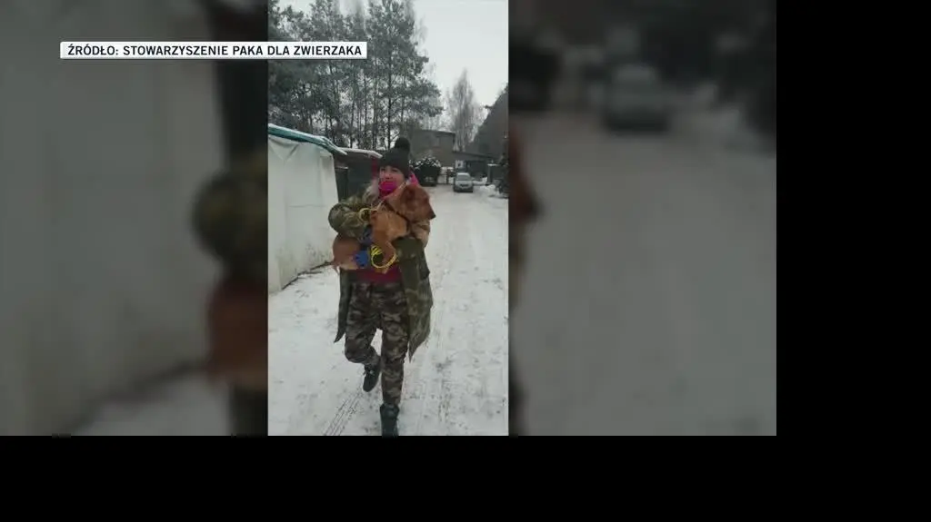 STOWARZYSZENIE PAKA DLA ZWIERZAKA