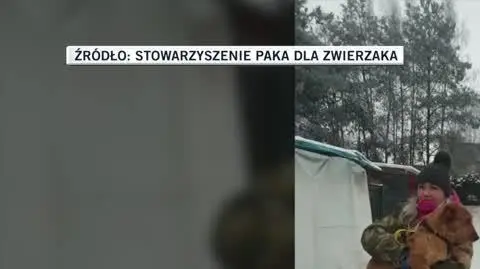 STOWARZYSZENIE PAKA DLA ZWIERZAKA