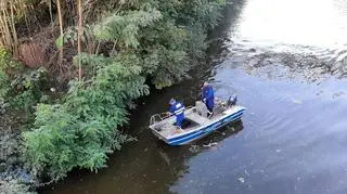 W Kanale Gliwickim znaleziono śnięte ryby, twa monitoring zbiornika 