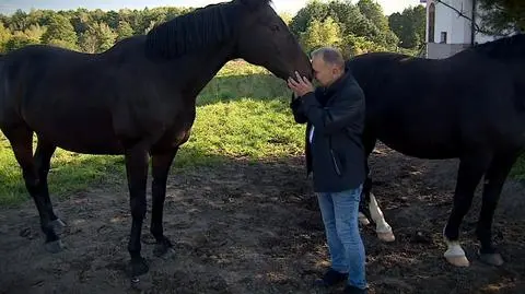 Żyją na terenach przyszłej linii CPK. "Córka mnie pyta: tatusiu, a gdzie będą konie mieszkały?"