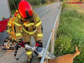 Trzeba było użyć narzędzi hydraulicznych