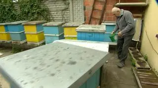 Poszkodowani zostali trzej pszczelarze