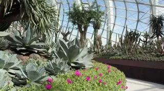 Gardens by the Bay