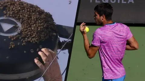 Tenisiści w popłochu uciekali z kortu. Kuriozalne obrazki w Indian Wells