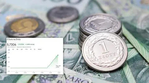 Potężne zamieszanie wokół kursów walut. Mamy stanowisko Google